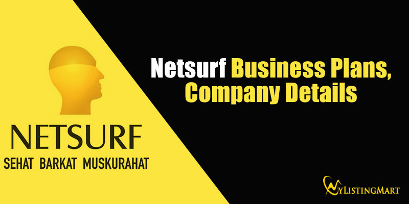 Netsurf Business Plan