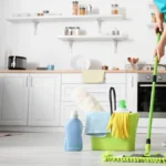 How much does a Houston house cleaning service cost